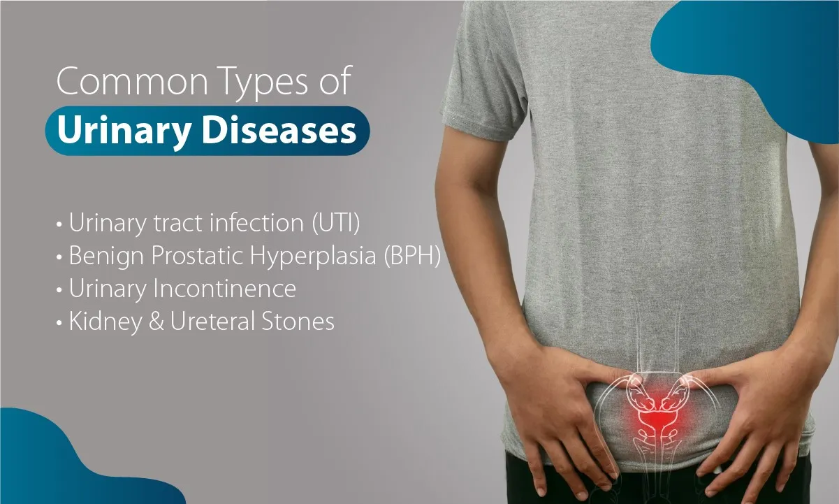 Common Types of Urinary Diseases